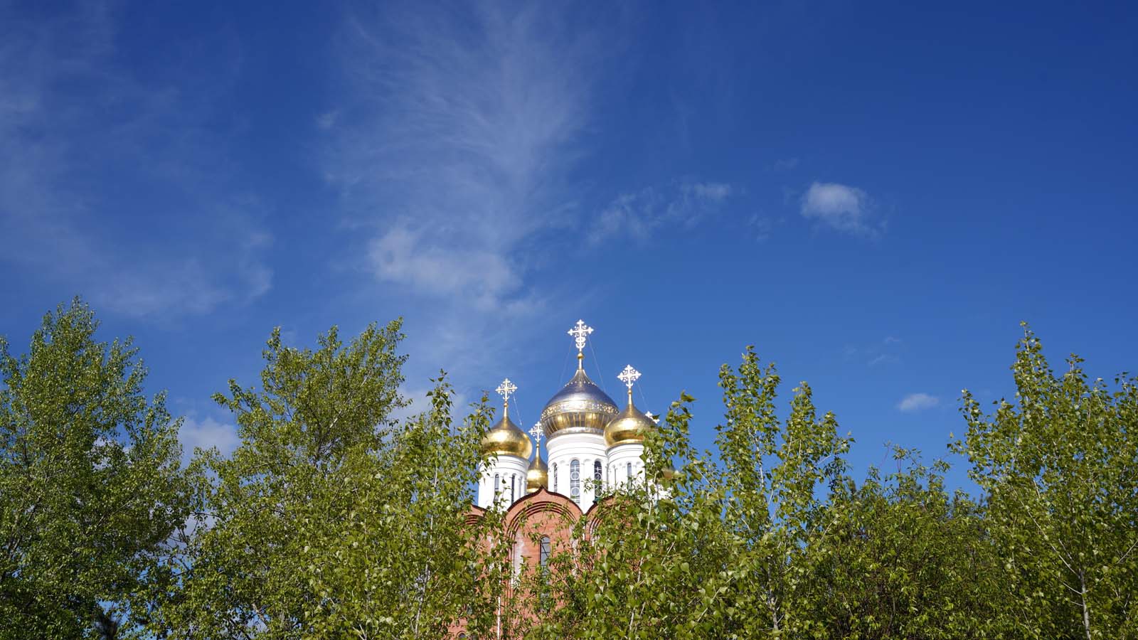 Иконостас Воскресенского собора в Арзамасе.