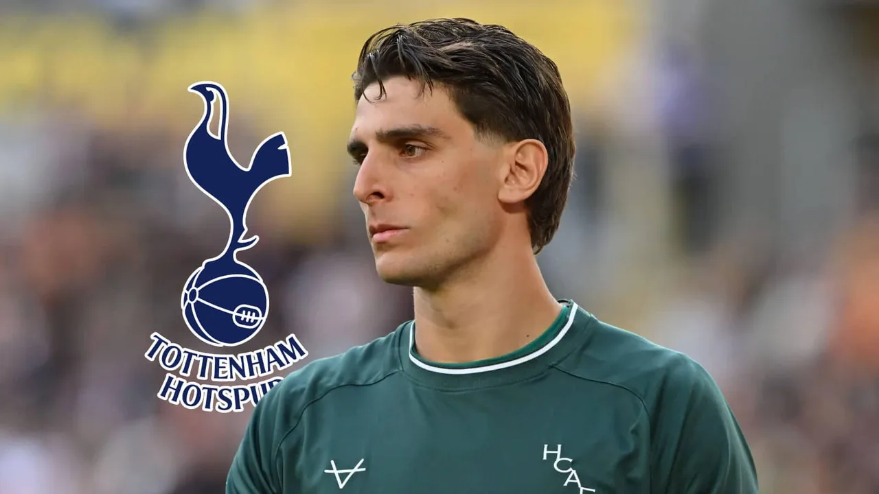 Tottenham yajutia maamuzi ya kipa, yamtazama nyota wa Hull City