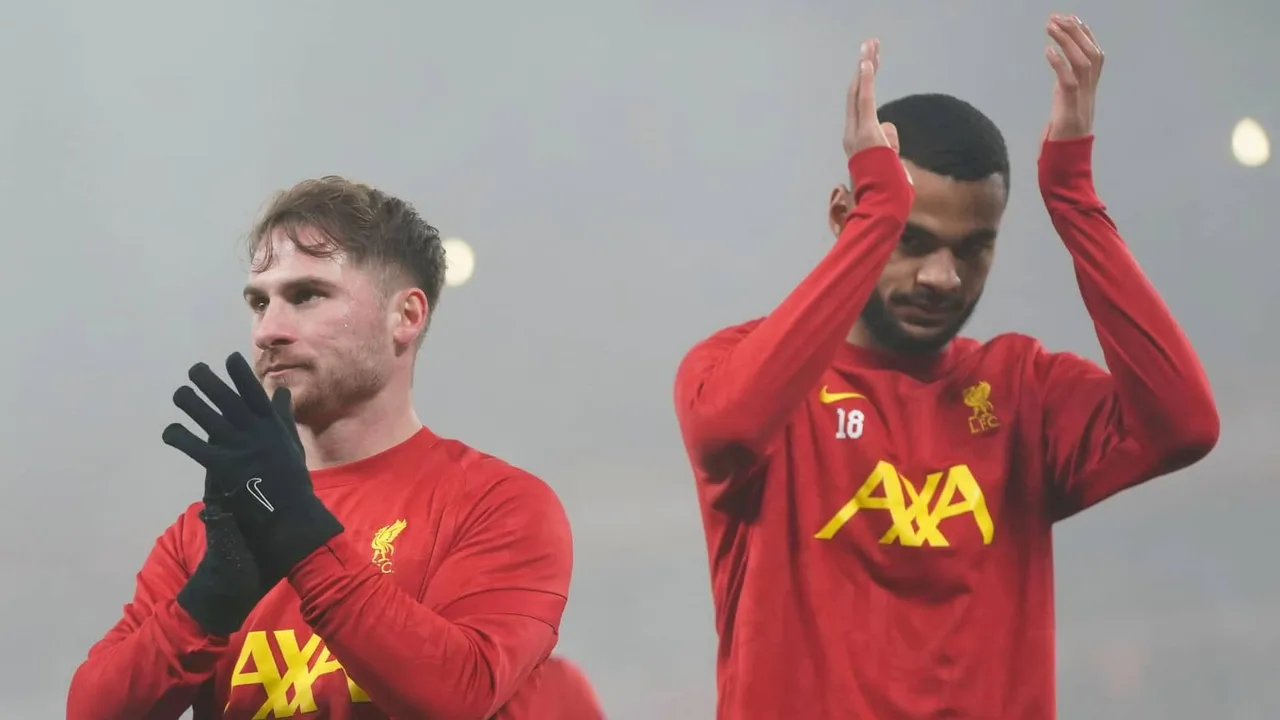 Liverpool Bado Hawana Haraka ya Kumpa Mac Allister Mkataba Mpya