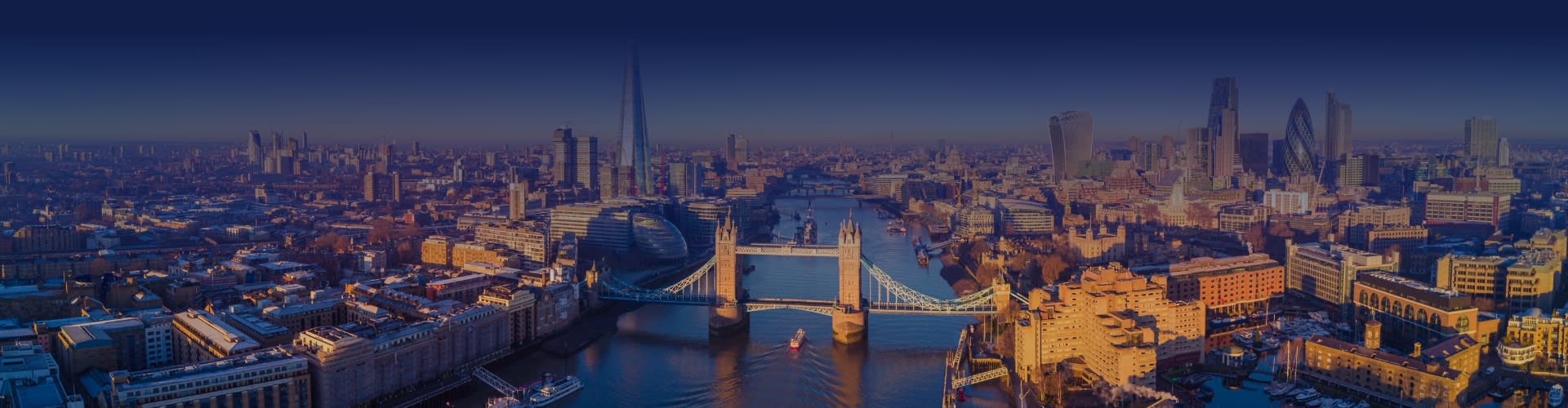 HP Banner 1