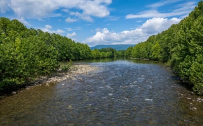 Enter for a chance to win a two-night mountain escape in Grant County, West Virginia with lodging, guided fishing, caverns tickets, and dinner.