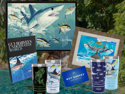 Enter for a chance to win a trip for four to Discovery Cove including dolphin swim and shark interaction experiences plus a Guy Harvey prize package.