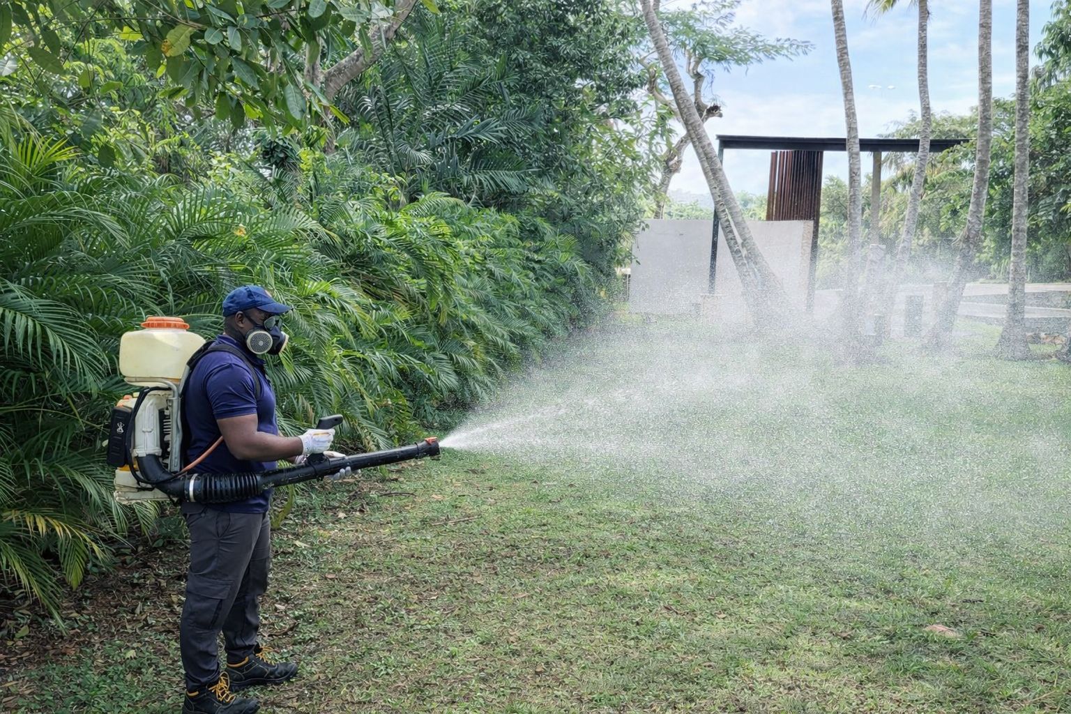 Fumigación profesional