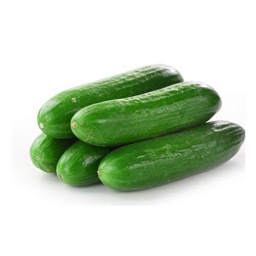 Pepino