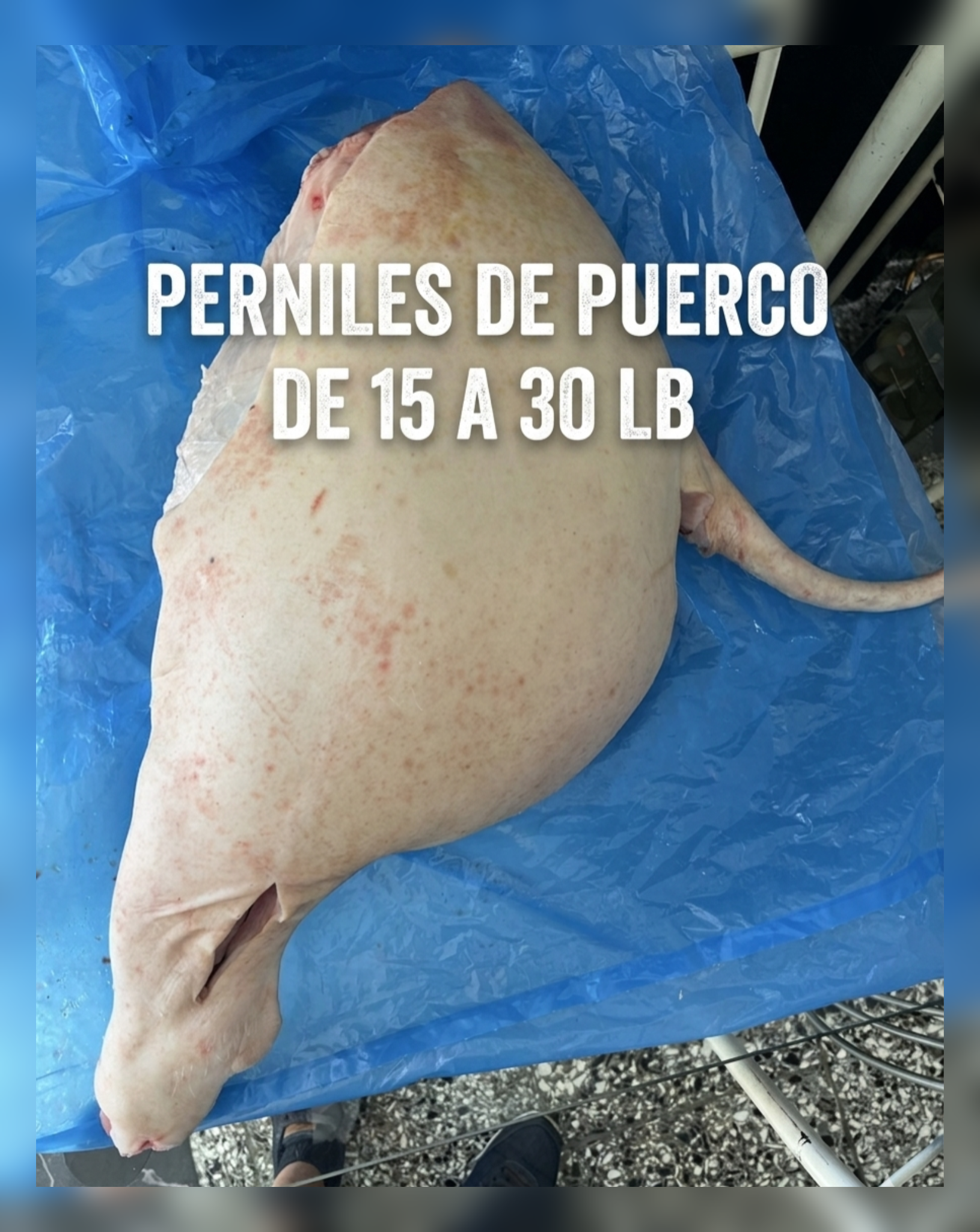 Pernil de puerco