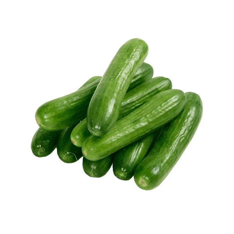 Pepino