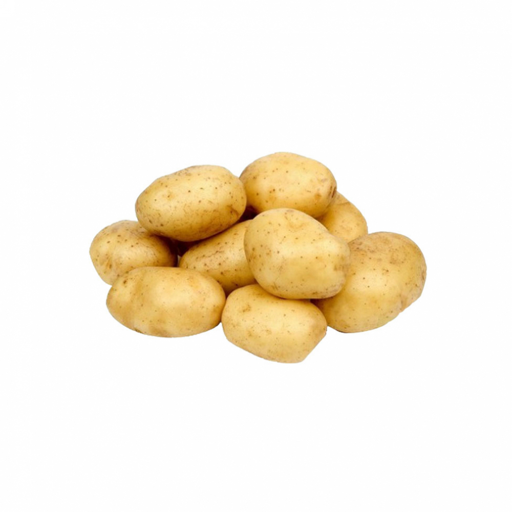 Papá