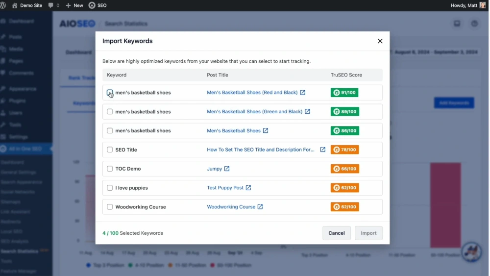 All in One SEO (AIOSEO)