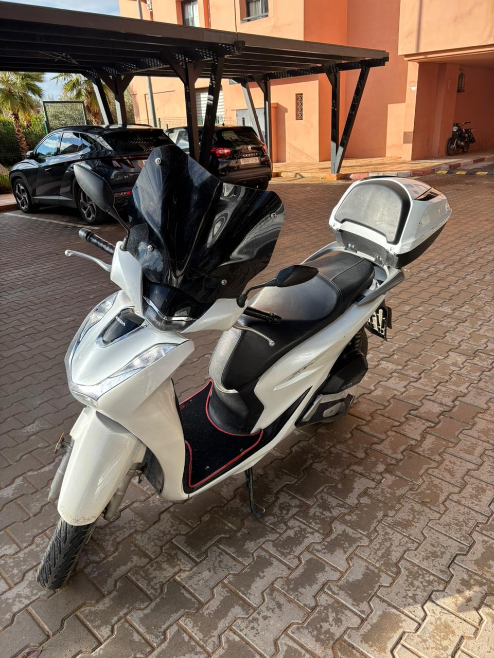 Quad Bike Adventure with a Local Expert