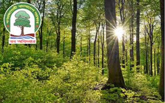 বন অধিদপ্তরে বড় নিয়োগ, পদ-৩৮২