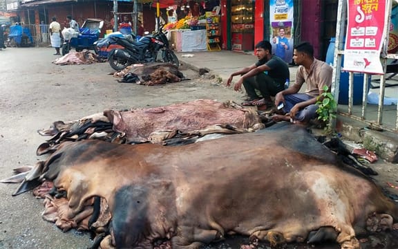 চামড়া কেনা তো দূরের কথা, কেউ দেখতেও আসেনি!