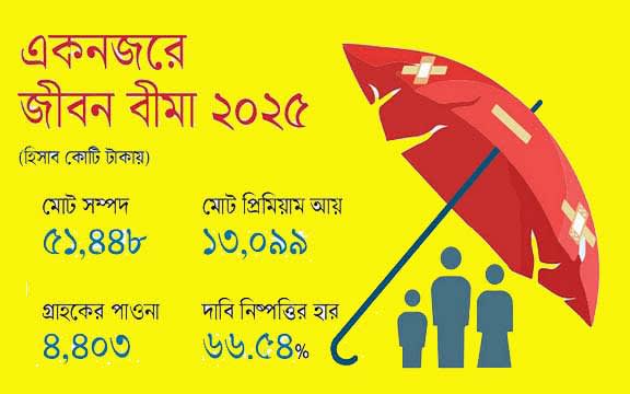 দেশের বীমা খাতে চরম অরাজকতা!