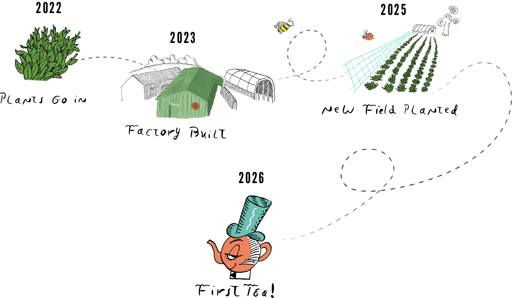 The Banks Tea - English Tea - Timeline History Image 2