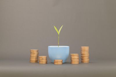 Financial Growth