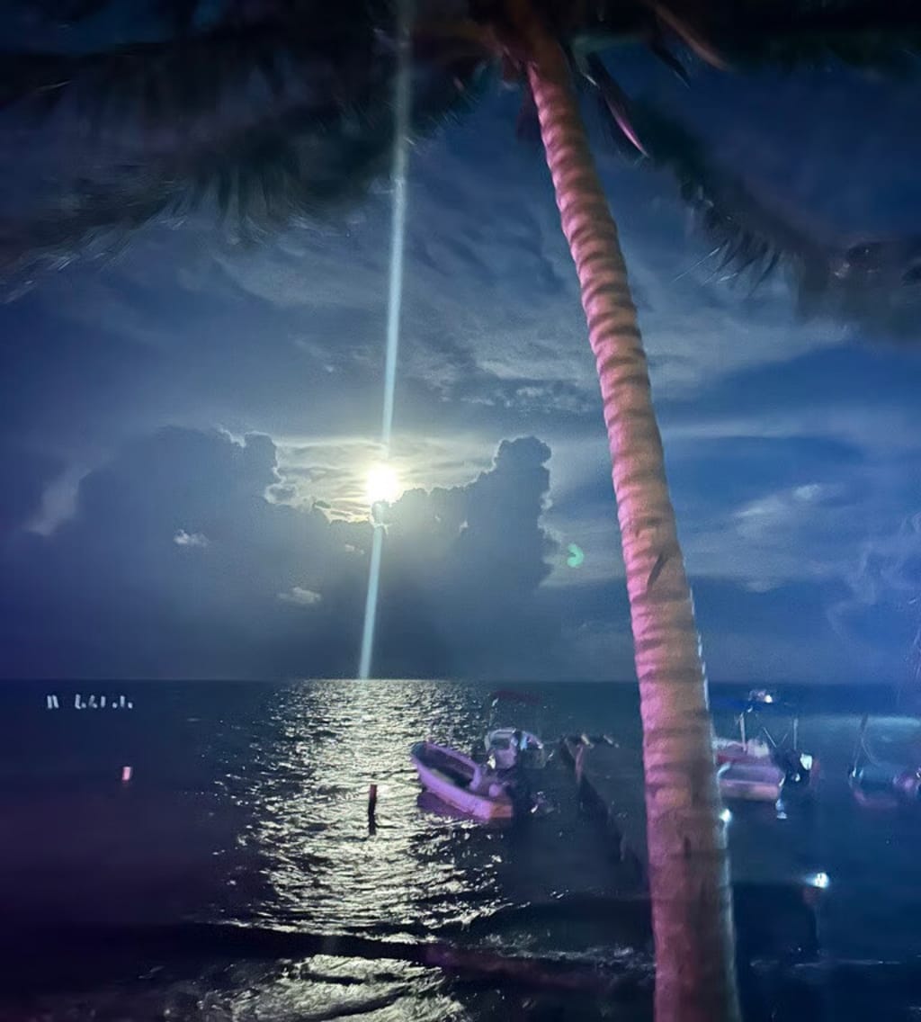 Moonlight view