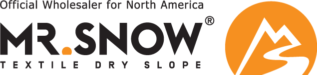 Mr.Snow Logo