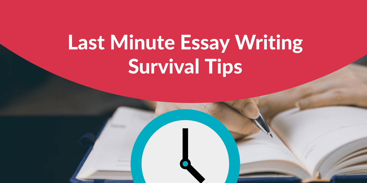 Essay Writing Survival Tips