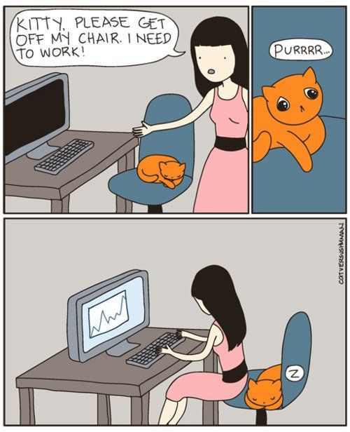 16+ Daily Struggles Only Cat Owners Will Understand