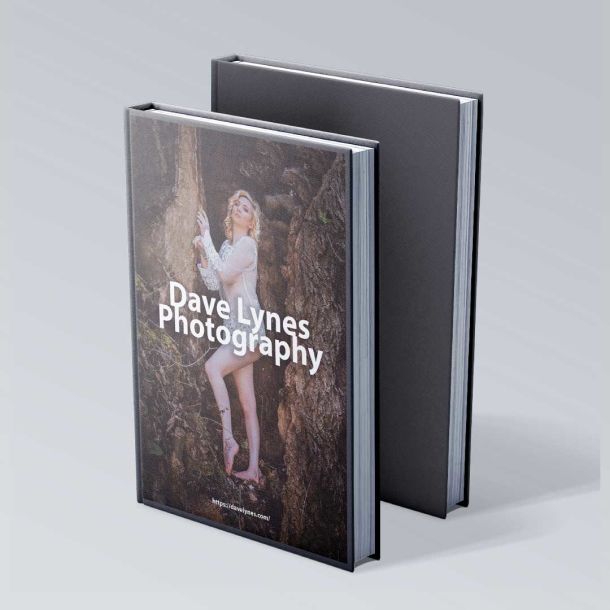 Dave Lynes book mockup