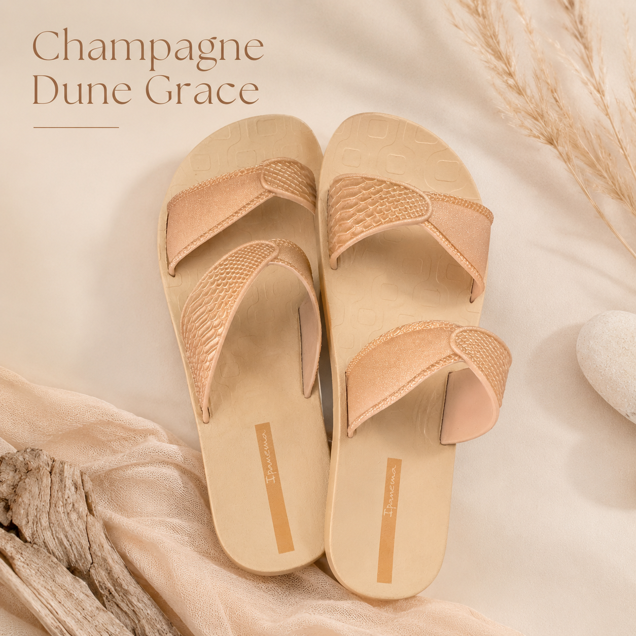Champagne Dune