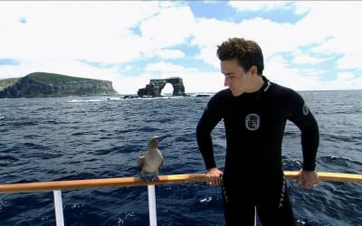 Rob Stewart – Episode 198