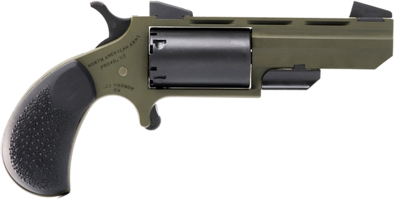 North American Arms NAM HUNTSMAN SA REV 22M 2ODG