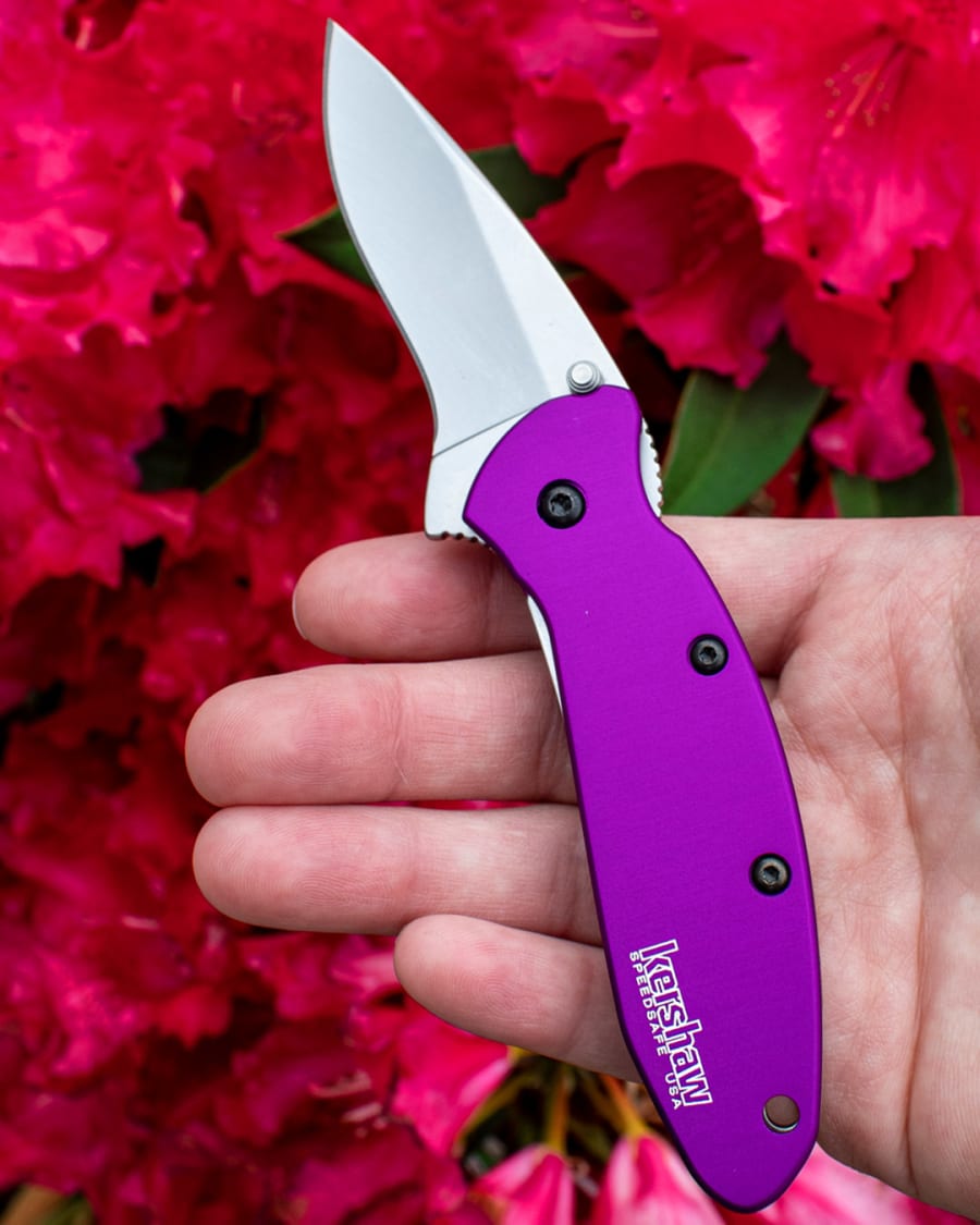Kershaw Scallion Purple 2.4 DP