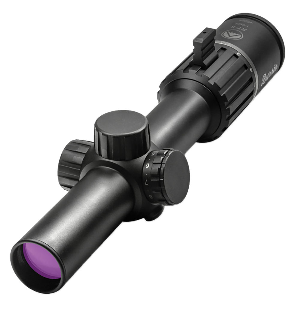 BUR RT6 1-6X24 30M IL SFP