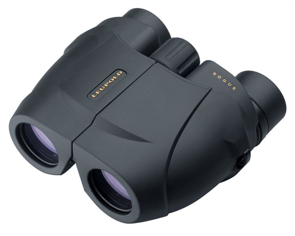 Leupold BX-1 Rogue Compact Binocular 8x25mm Inverted Porro Prism Black