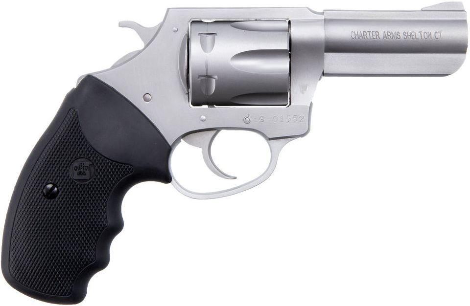 CHARTER ARMS PITBULL 380ACP 3" STS