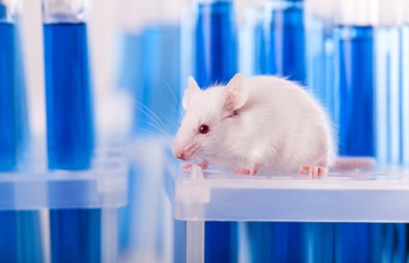 Antidepresivní účinky kanabidiolu u myší: možné zapojení 5-HT1A receptorů