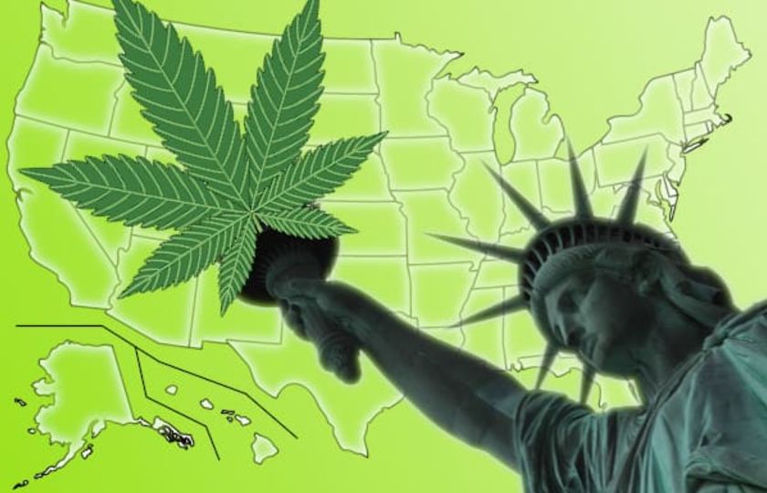 Které americké státy legalizovaly před rokem 2020 technické konopí i CBD produkty a do jaké míry?