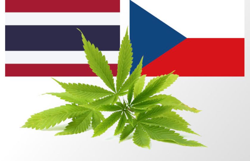 Thajsko legalizovalo léčebné konopí, zkoumat ho bude s českou pomocí