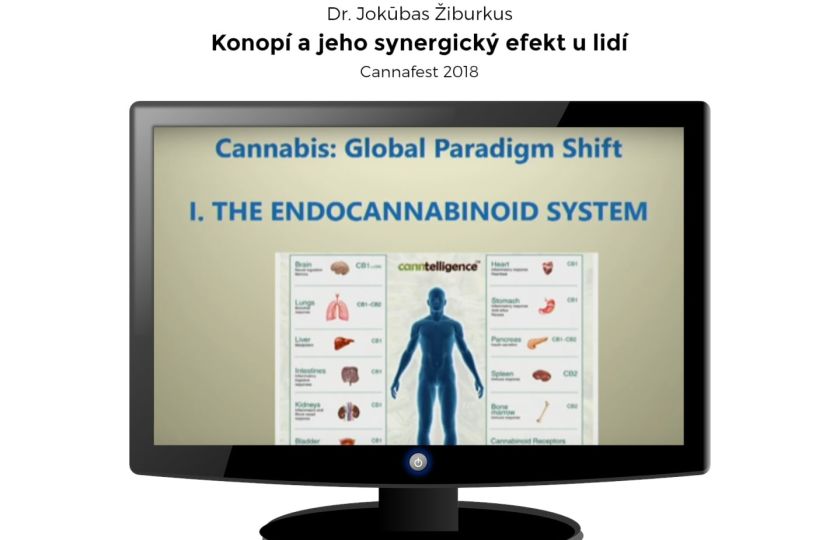 Konopí a jeho synergický efekt u lidí | Dr. Jokūbas Žiburkus