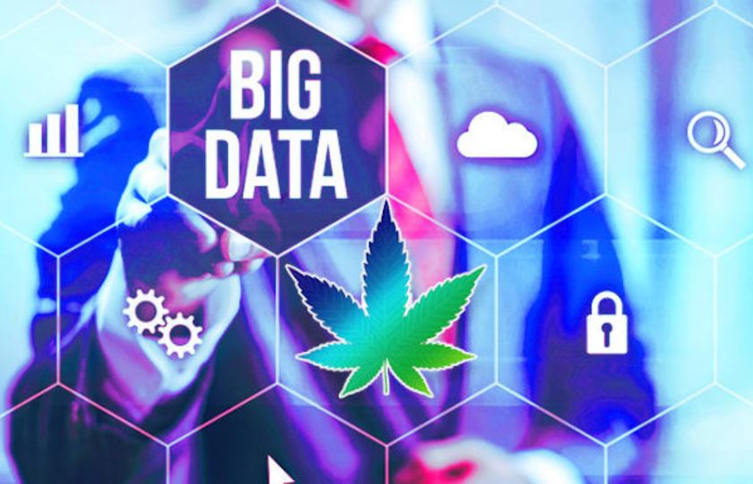 Ani konopný průmysl se bez AI a Big Data neobejde