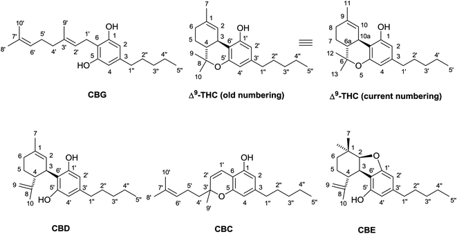 CBG, THC, CBD, CBC, CBE číselné systémy