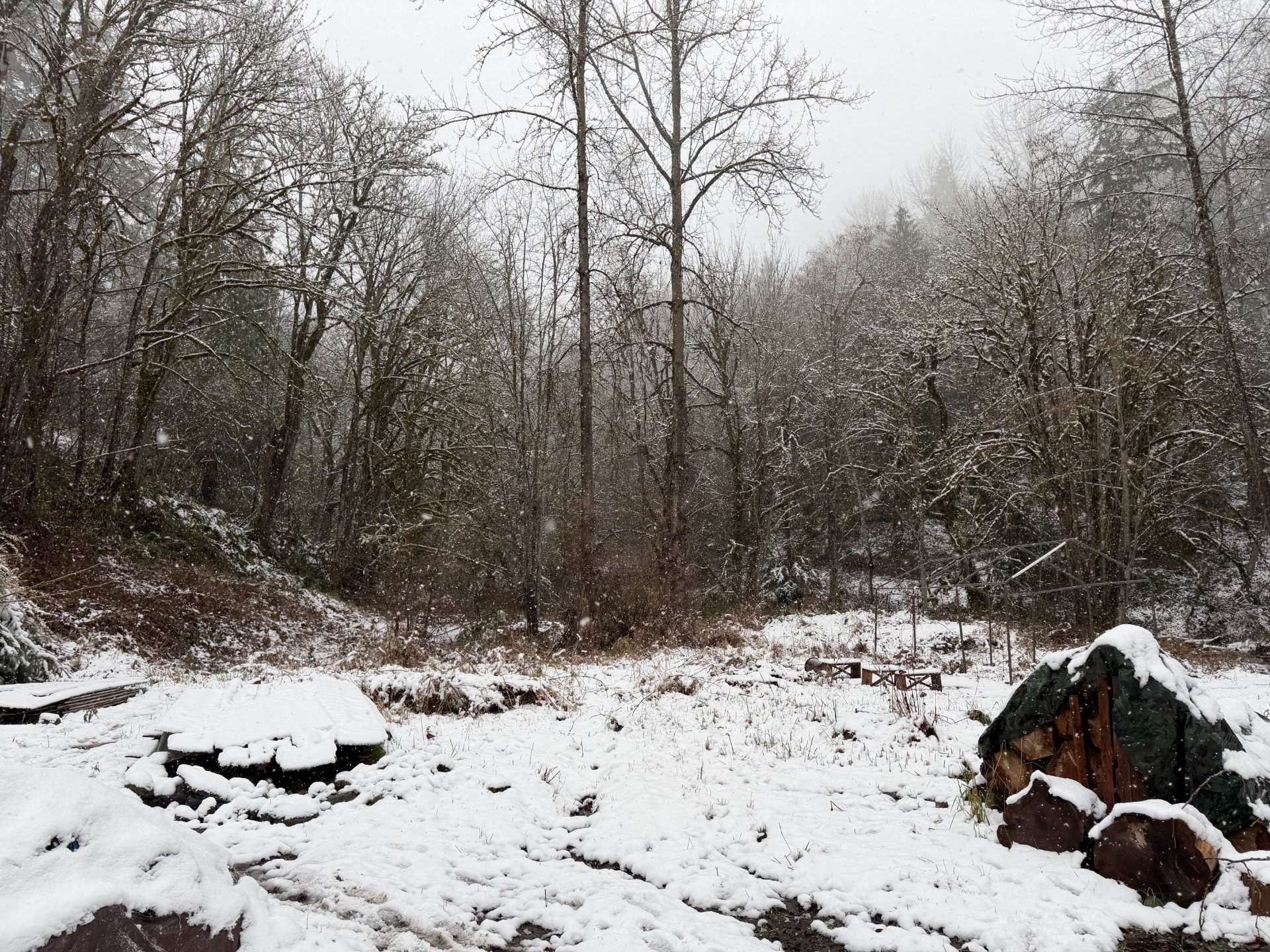 snow