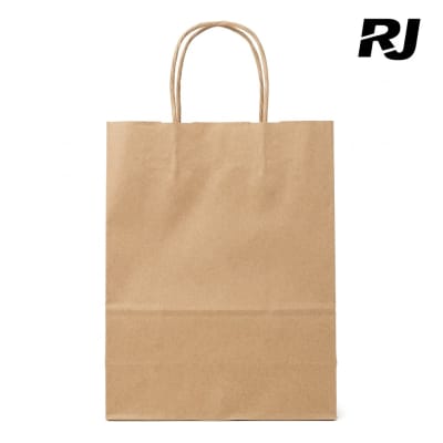 22X16x8 bolsa de papel c/agarradera X1