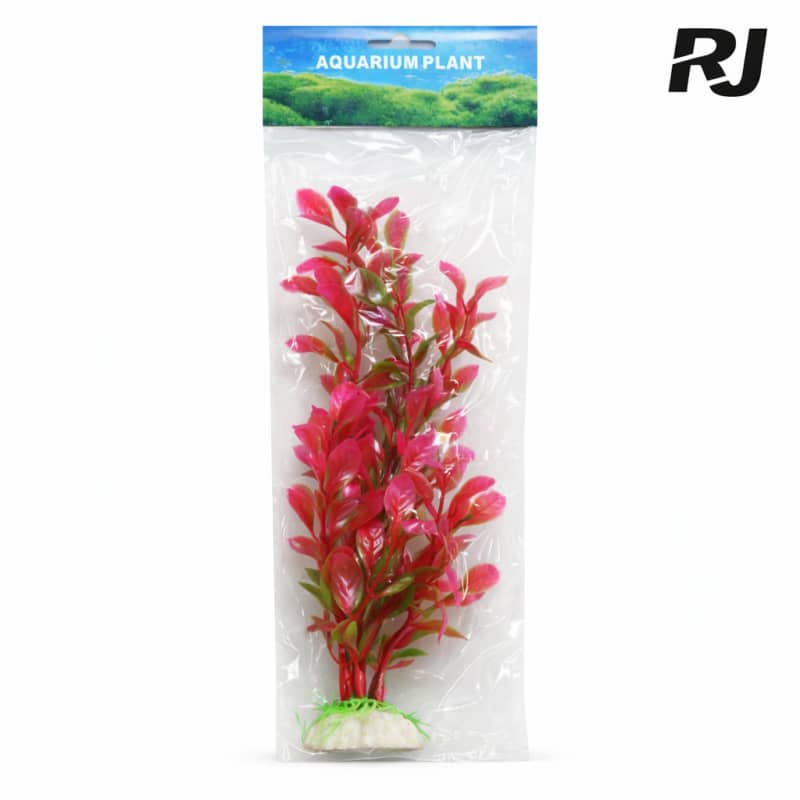Planta p/pecera mediana