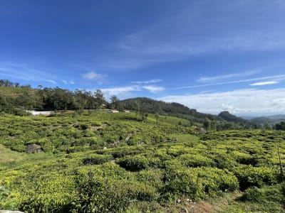 Ooty, India
