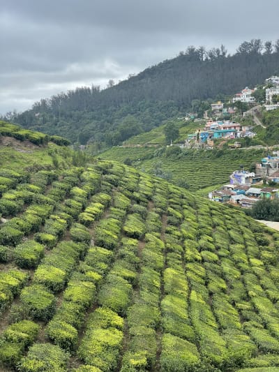 Ooty, India