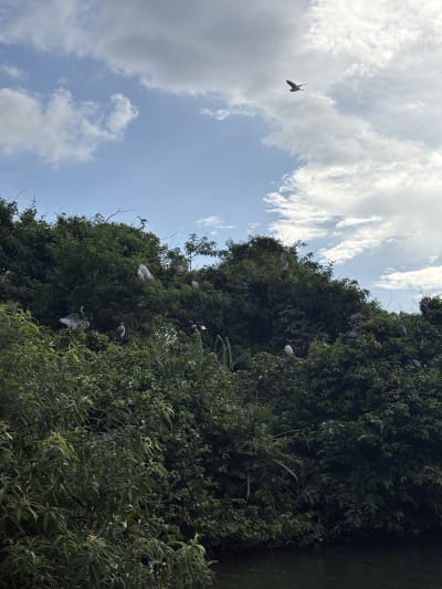 Srirangapatna, India
