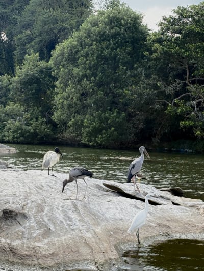 Srirangapatna, India