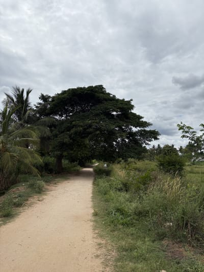 Srirangapatna, India
