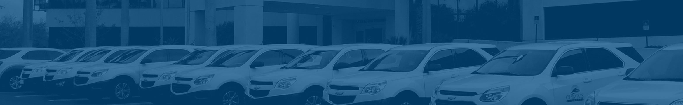Olympus Insurance Reviews 2020