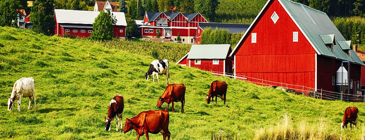 AFR Insurance Reviews &amp; Ratings 2018 Clearsurance