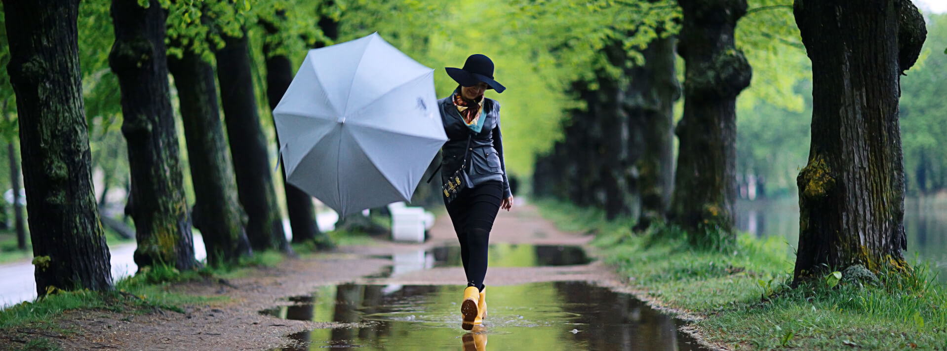 Centauri Insurance Co. Customer Ratings Clearsurance