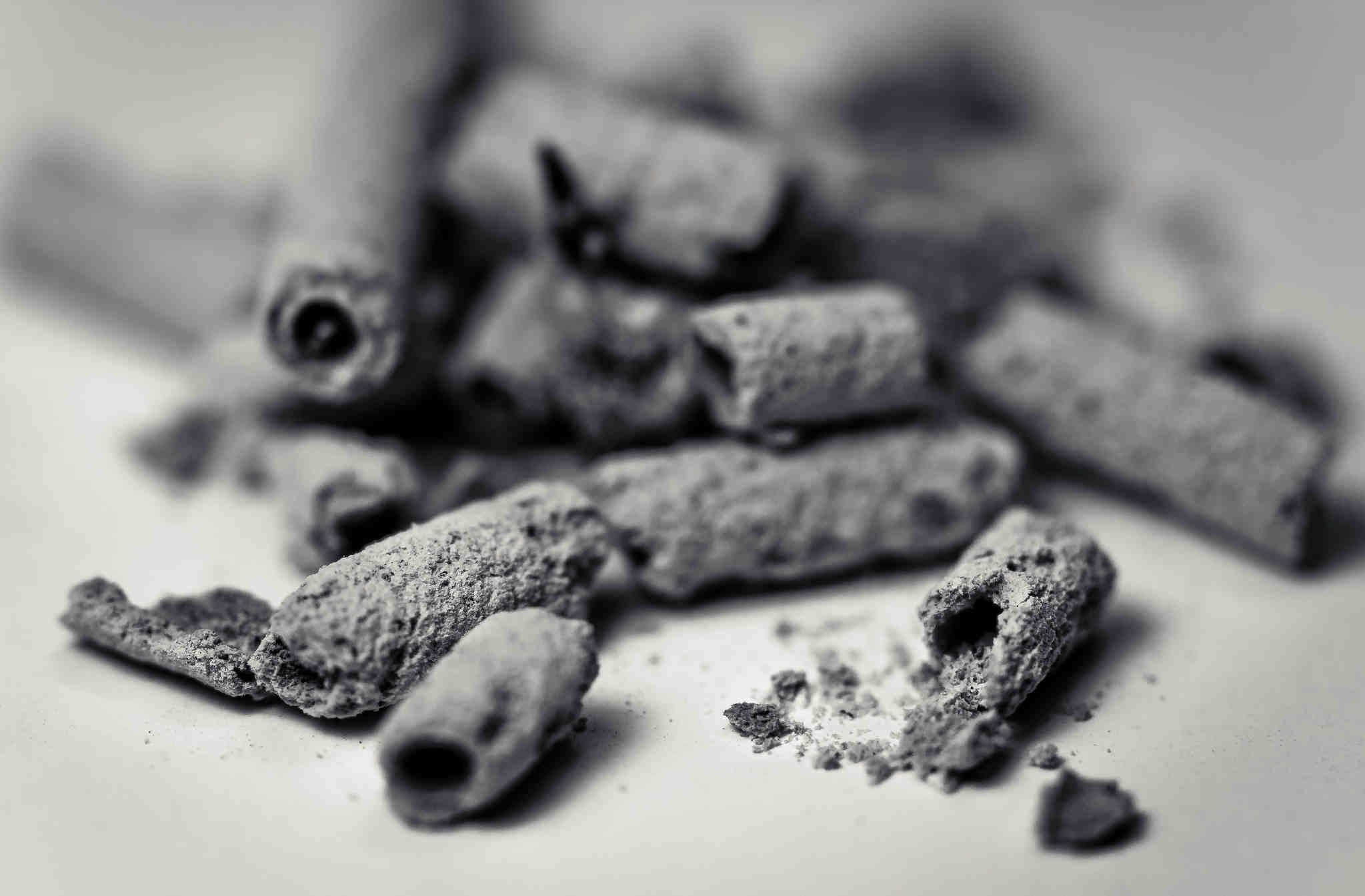 economia quaresima ceneri.jpg