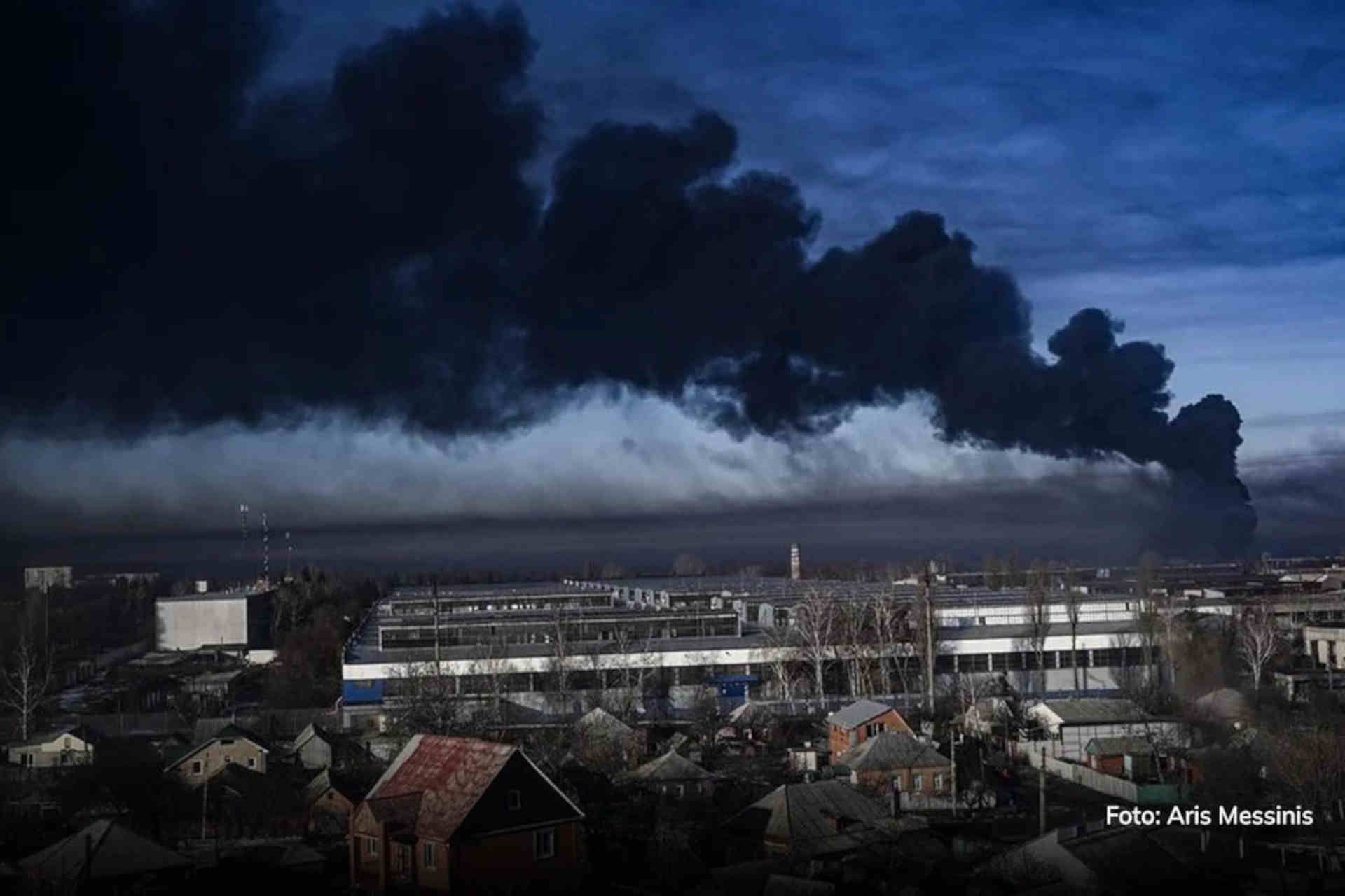 conseguenze ecologiche guerra.jpg