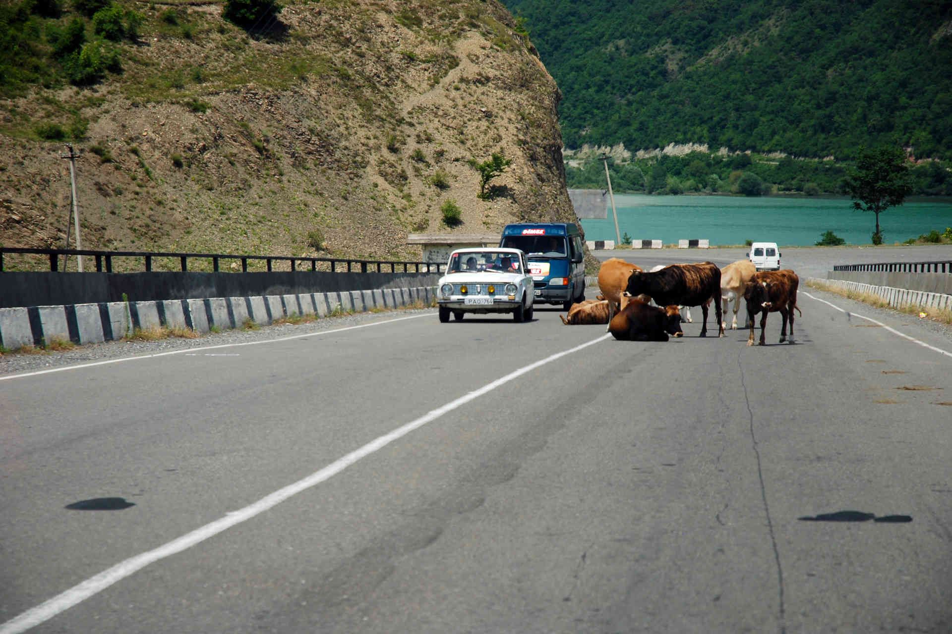 Ananuri_S3_highway georgia.jpg